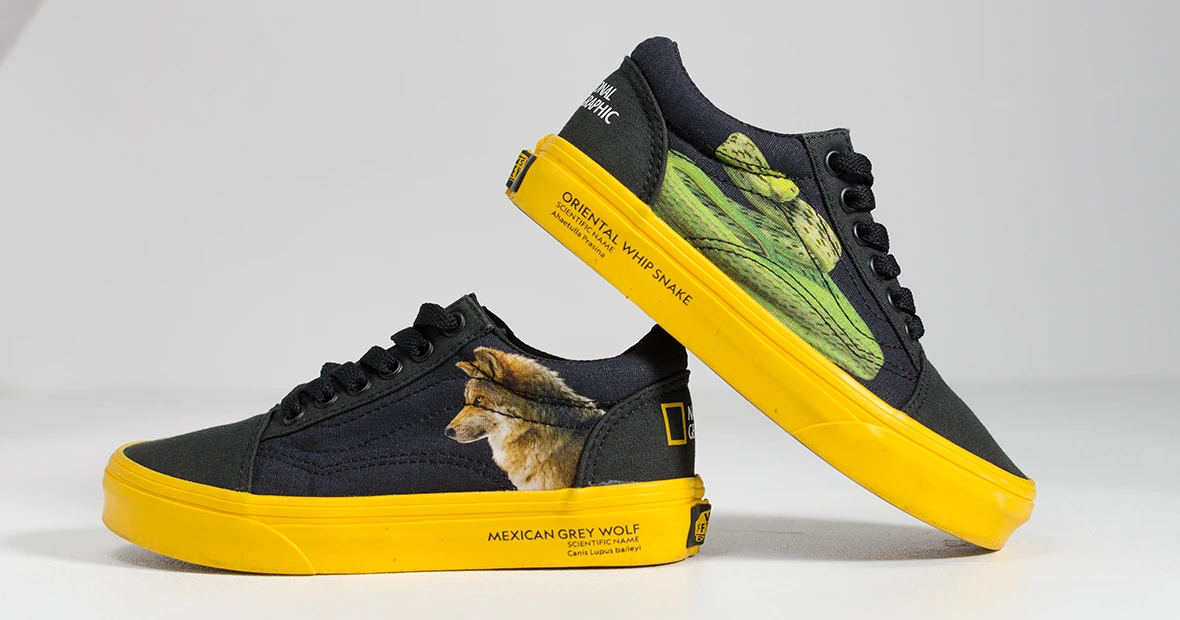 sneakers edition limitee